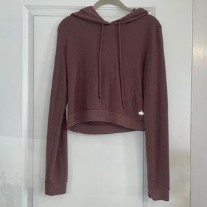 Alo Cropped Hoodie